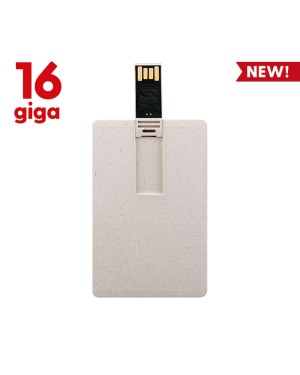 USB 16GB - MEMORY PF107-16