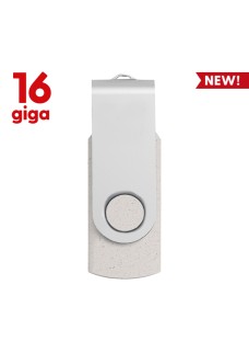 USB 16GB - MEMORY PF110-16