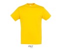 giallo oro